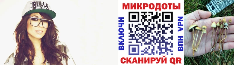 Галлюциногенные грибы мухоморы  omg   Рудня 